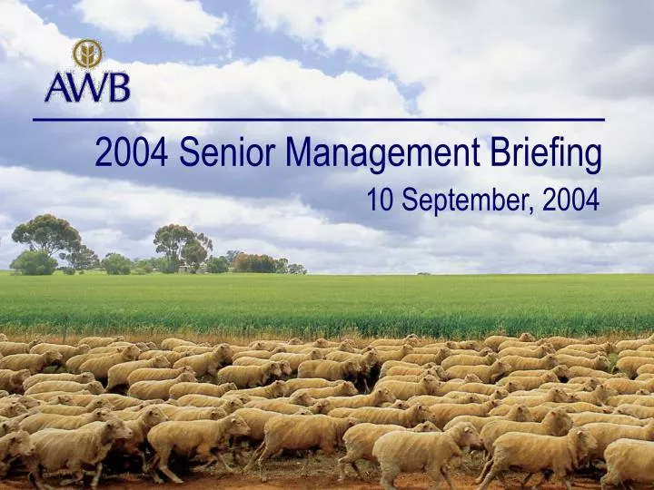 2004 senior management briefing