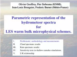 Parametric representation of the hydrometeor spectra for LES warm bulk microphysical schemes.