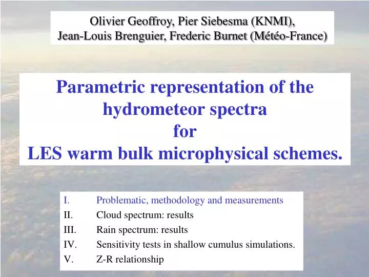 parametric representation of the hydrometeor spectra for les warm bulk microphysical schemes