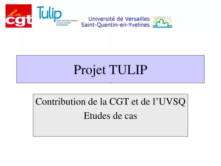 projet tulip