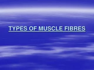 TYPES OF MUSCLE FIBRES