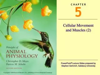 Cellular Movement and Muscles (2)