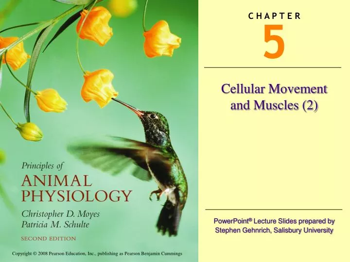 cellular movement and muscles 2