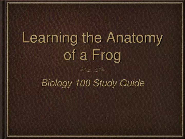 learning the anatomy of a frog
