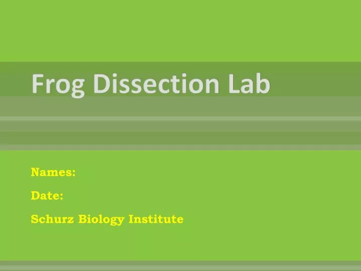 frog dissection lab