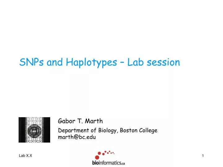 snps and haplotypes lab session