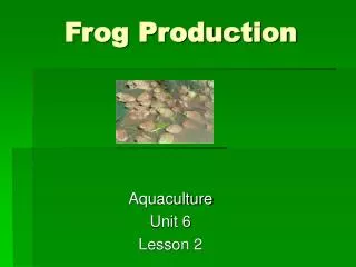 Frog Production