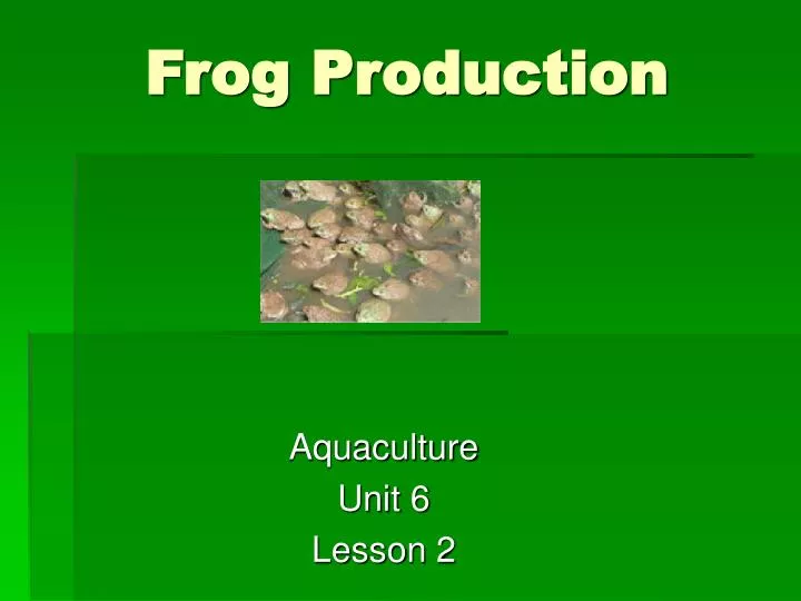frog production