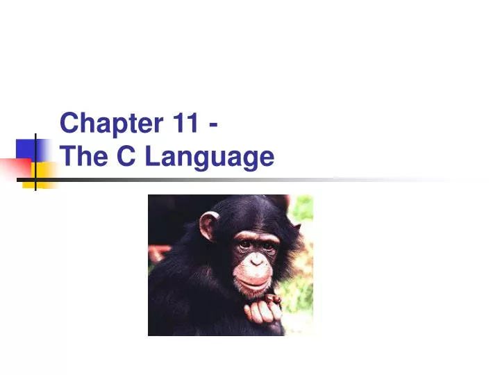 chapter 11 the c language