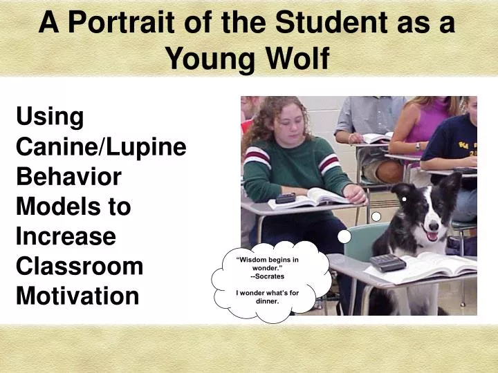 a portrait of the student as a young wolf
