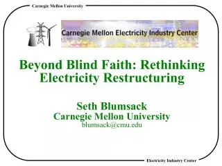Overview Carnegie Mellon Electricity Industry Center (CEIC)