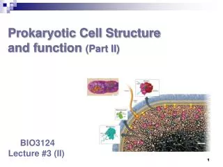 Prokaryotic Cell Structure and function (Part II)