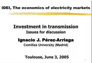 IDEI, The economics of electricity markets