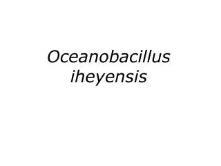 Oceanobacillus iheyensis
