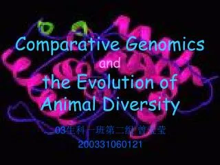 Comparative Genomics and the Evolution of Animal Diversity