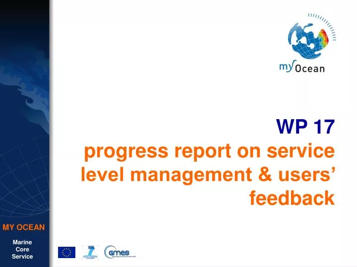 wp 17 progress report on service level management users feedback