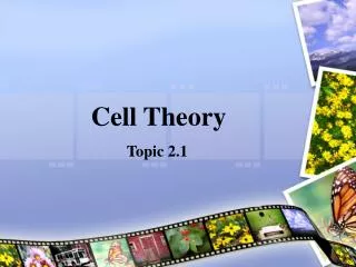 cell theory