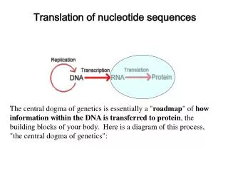Translation of nucleotide sequences