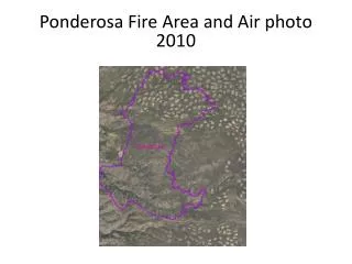 Ponderosa Fire Area and Air photo 2010