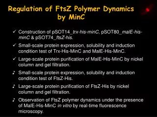 Regulation of FtsZ Polymer Dynamics by MinC