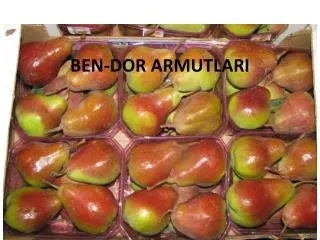 ben dor armutlari