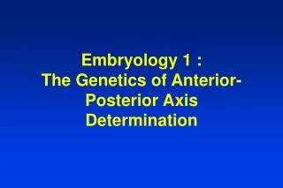 Embryology 1 : The Genetics of Anterior-Posterior Axis Determination