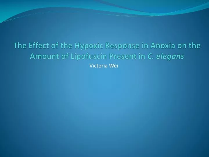 the effect of the hypoxic response in anoxia on the amount of lipofuscin present in c elegans