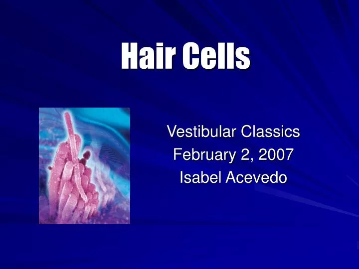 hair cells