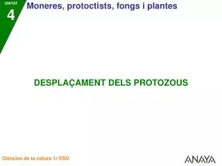 Els protozous utilitzen diferents mecanismes per a desplaçar-se: