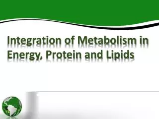 Integration of Metabolism in Energy, Protein and Lipids