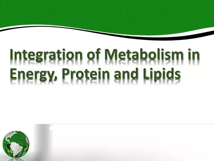 integration of metabolism in energy protein and lipids
