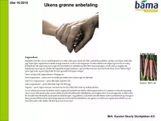 ukens gr nne anbefaling