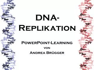 dna replikation
