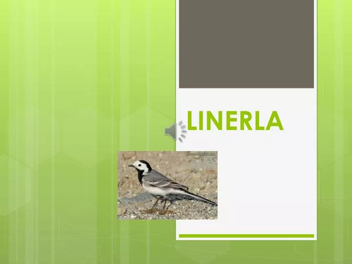 linerla