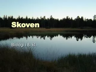 skoven