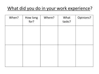 What did you do in your work experience ?