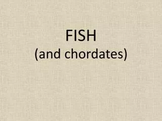 FISH (and chordates)
