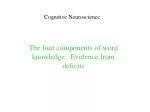 Cognitive Neuroscience - slide 1