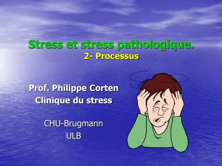 stress et stress pathologique 2 processus