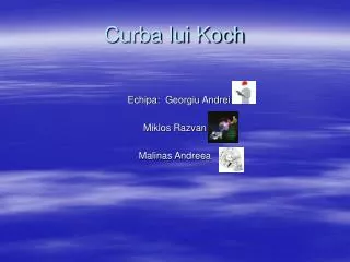 curba lui koch