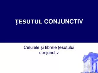 esutul conjunctiv