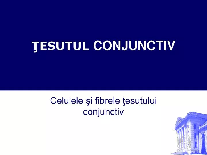 esutul conjunctiv