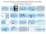 Microscopic Examination of Breathing Mode and Nuclear Compressibility - slide 1