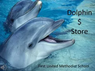 dolphin store