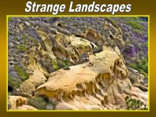 Strange Landscapes