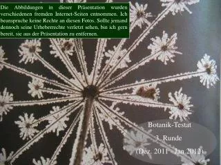 Botanik-Testat 3. Runde (Dez. 2011 - Jan.2012)