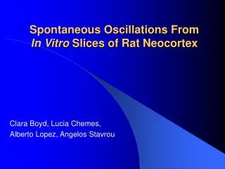 Spontaneous Oscillations From In Vitro Slices of Rat Neocortex