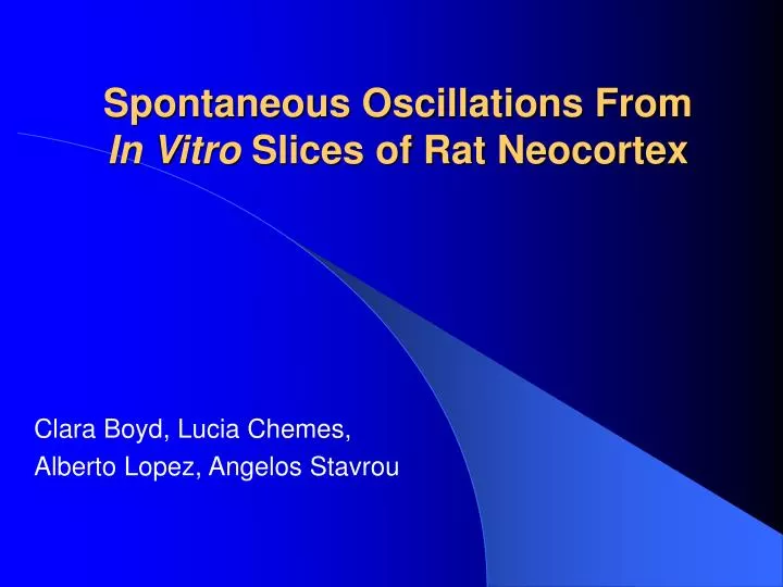 spontaneous oscillations from in vitro slices of rat neocortex
