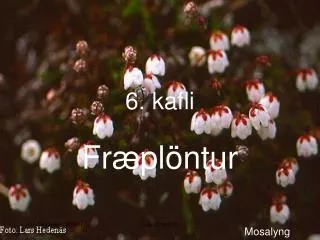 6 kafli