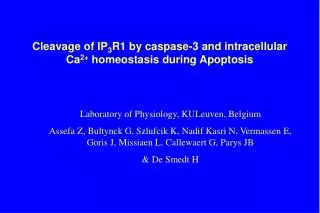 Cleavage of IP 3 R1 by caspase-3 and intracellular Ca 2+ homeostasis during Apoptosis